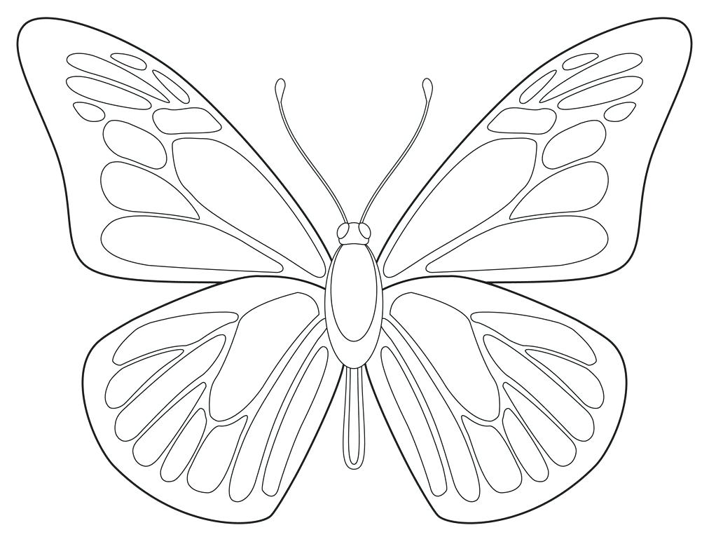 1012x766 Free Drawing Pictures Art Projects For Kids Free Butterfly Drawing