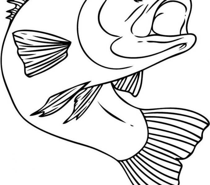 678x600 Free Drawing Pictures Colouring To Good Coloring Draw Dringrames