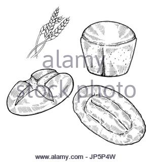 300x320 Hand Drawn Sketch Of Sliced Bread, Black And White Simple Line