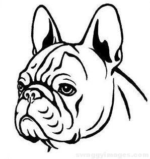 298x315 French Bulldog Drawing Images Swaggy Images