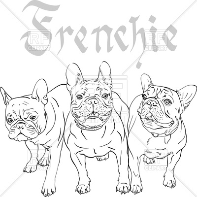 400x400 French Bulldog Sketch Royalty Free Vector Clip Art Image