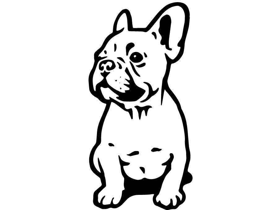 904x680 French Bulldog 3 Dog Breed K 9 Animal Pet Puppy Paws Canine