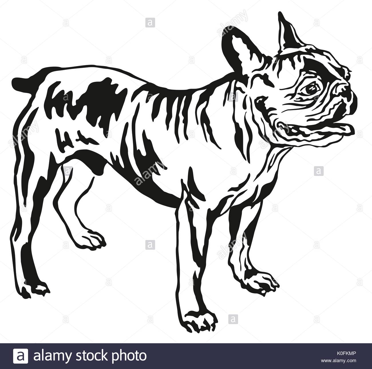 1300x1290 Decorative Portrait Of Standing In Profile French Bulldog, Vector