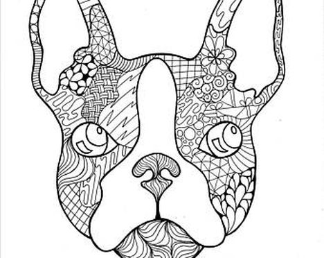 French Bulldog Adult Coloring Coloring Pages