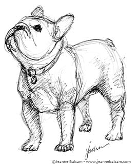 265x324 French Bulldog Sketches Iii Still A Dreamer