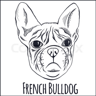 320x320 Line Art Of French Bulldog With Three Difference Of Face Stock