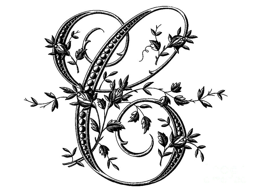 900x675 French Floral Letter C Drawing By Safran Fine Art