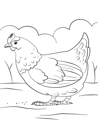 340x480 Hen Coloring Page Free Printable Coloring Pages