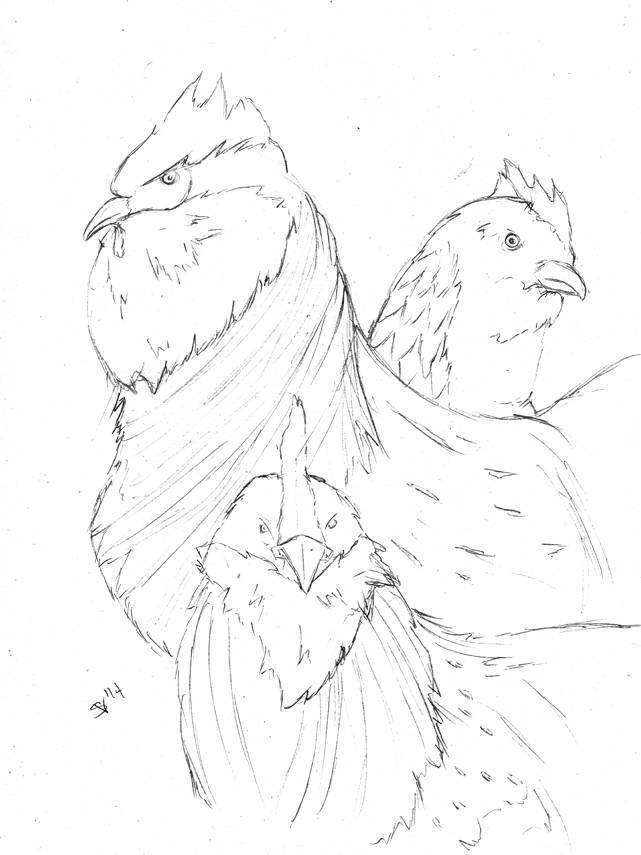 641x855 December 3rd