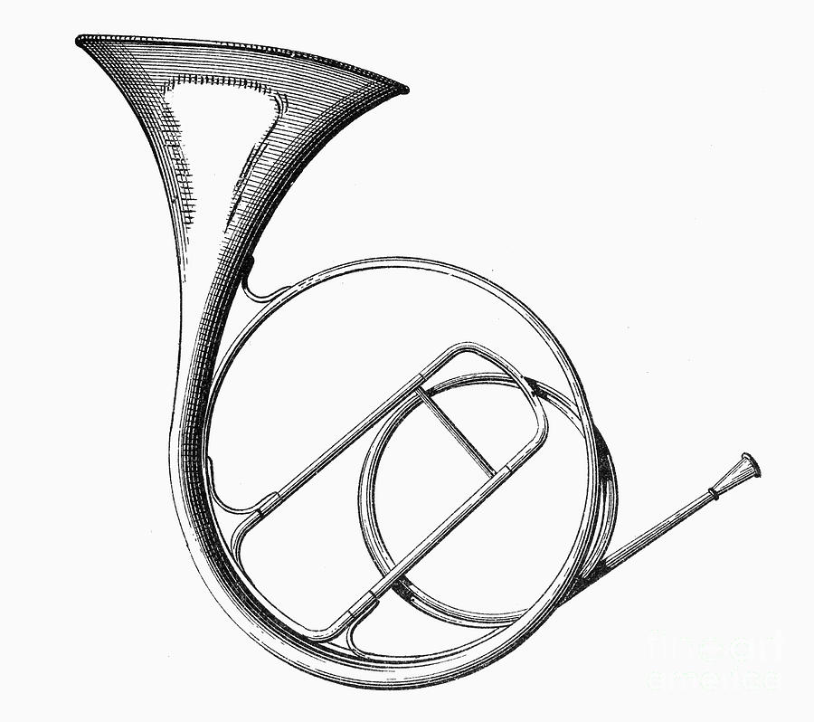 French Horn Drawing at GetDrawings | Free download