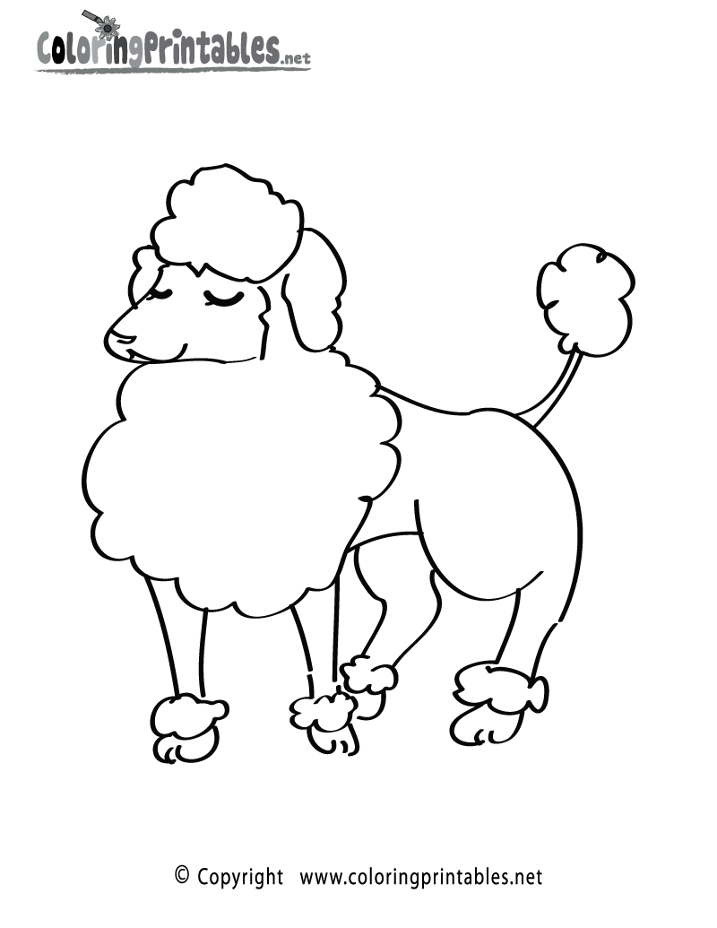 800x1035 Poodle Coloring Pages To Print Coloring Page For Kids