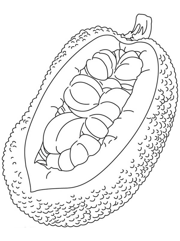 600x804 Custard Apple Coloring Pages