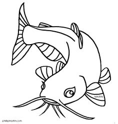236x247 Flathead Catfish Sketch Projects To Try Catfish