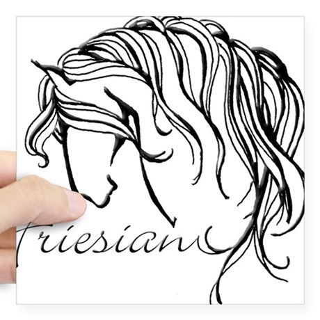 460x460 Friesian Horse Bumper Stickers Cafepress