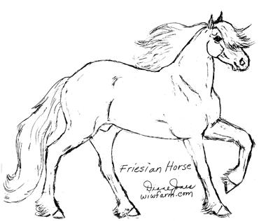 400x316 The Friesian Horse