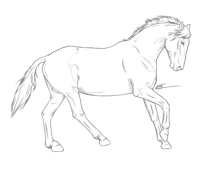 700x560 Friesian Horse