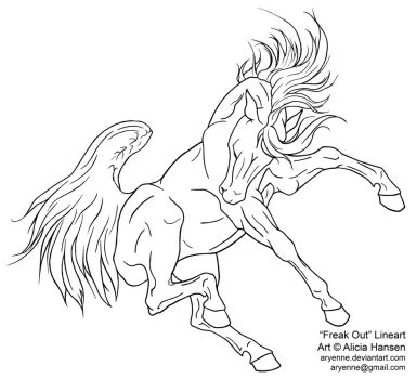 384x350 More Collections Like Friesian Horse By Requay