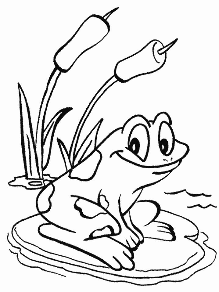 718x957 Frog Coloring Pages