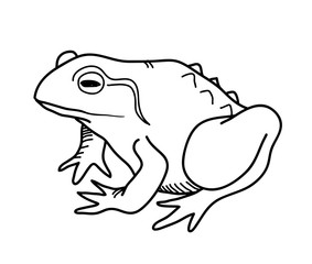 283x240 Search Photos Frog Cartoon