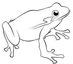 236x206 How To Draw A Frog Frog Drawing, Frogs And Frog Art