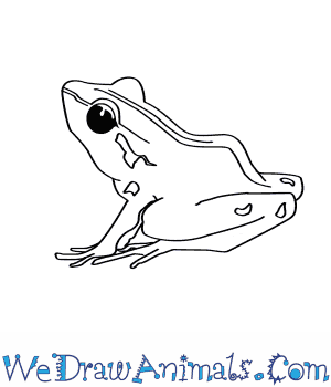 300x350 How To Draw A Bob's Robber Frog