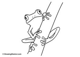 264x191 Image Result For Frog Drawings Easy Frogs Frogs