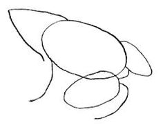 236x181 Image Result For Frog Drawings Easy Gifts