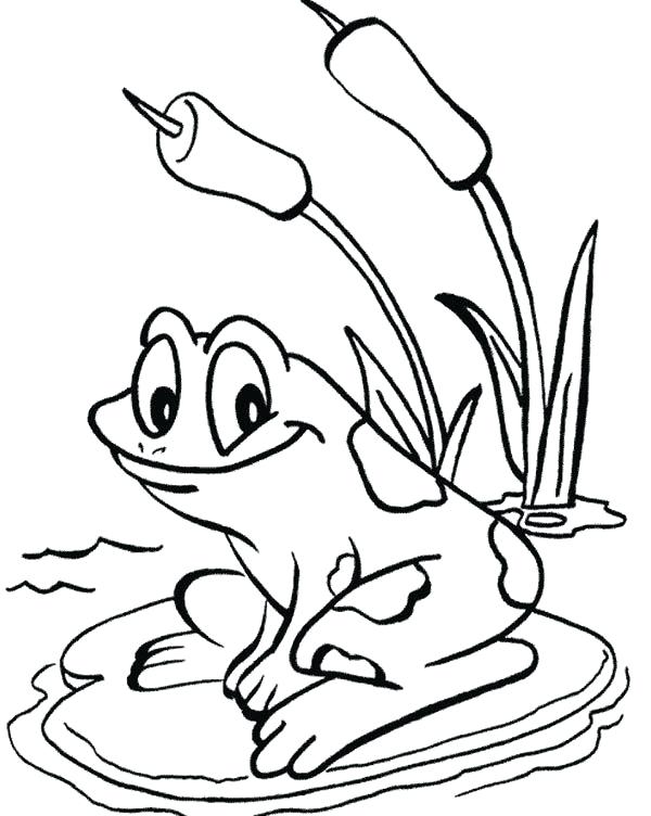 600x752 Coloring Pages Draw A Frog Kids Lily Pad Coloring Pages