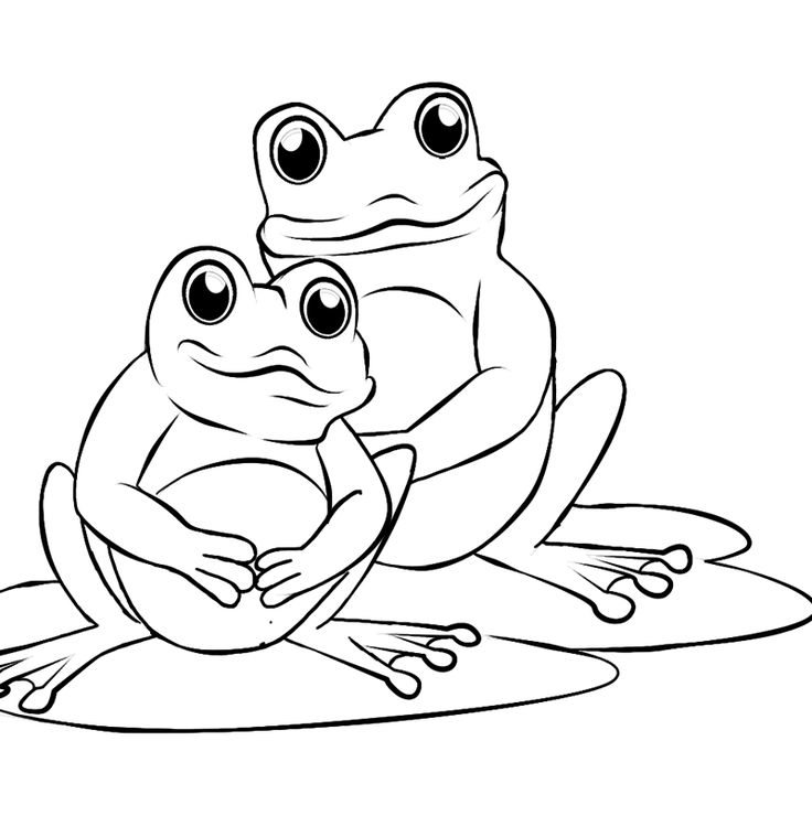 736x740 Coloring Pages Of Frogs Best 25 Frog Coloring Pages Ideas