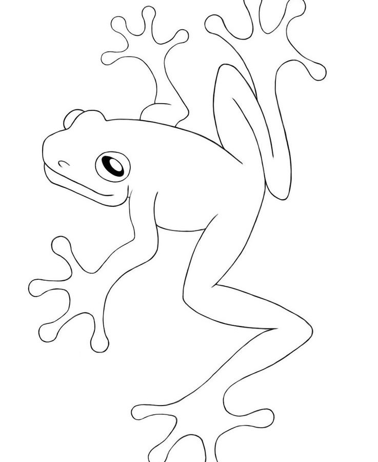 737x900 Free Butterfly Coloring Pages Life Cycle Of Animals Page Printable