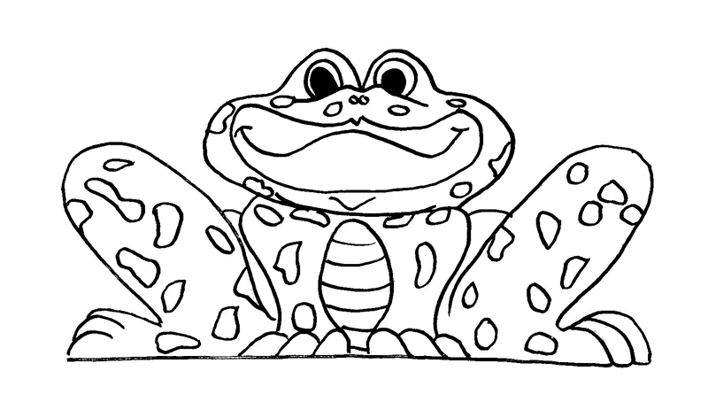 800x454 Free Frog Coloring Pages To Fancy Page Paint Cute Books