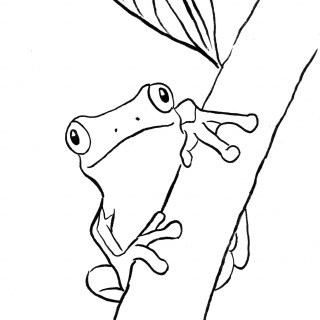 320x320 Tag For Frog Kids Drawing How To Draw Frogs For Kids Step 7 Apps