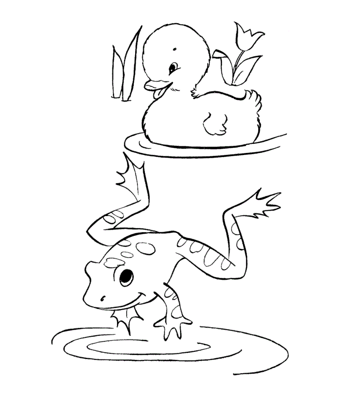 670x820 Printable Frog Coloring Pages For Kids Free Printable Frog