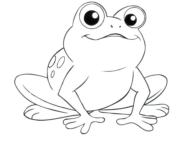 659x501 Frogs Coloring Pages Cortefocal.site