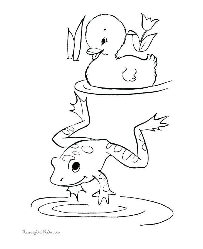 670x820 Best Of Frog Coloring Pages Pictures Free Printable Kids Frog