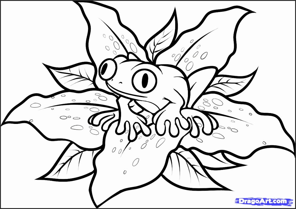 983x695 Easy Frog Drawings Gt4tq Beautiful Easy To Draw Frog How To Draw