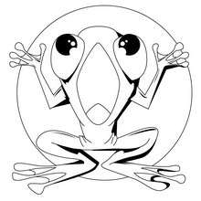 220x220 Frog Coloring Pages, Drawing For Kids, Reading Amp Learning, Free
