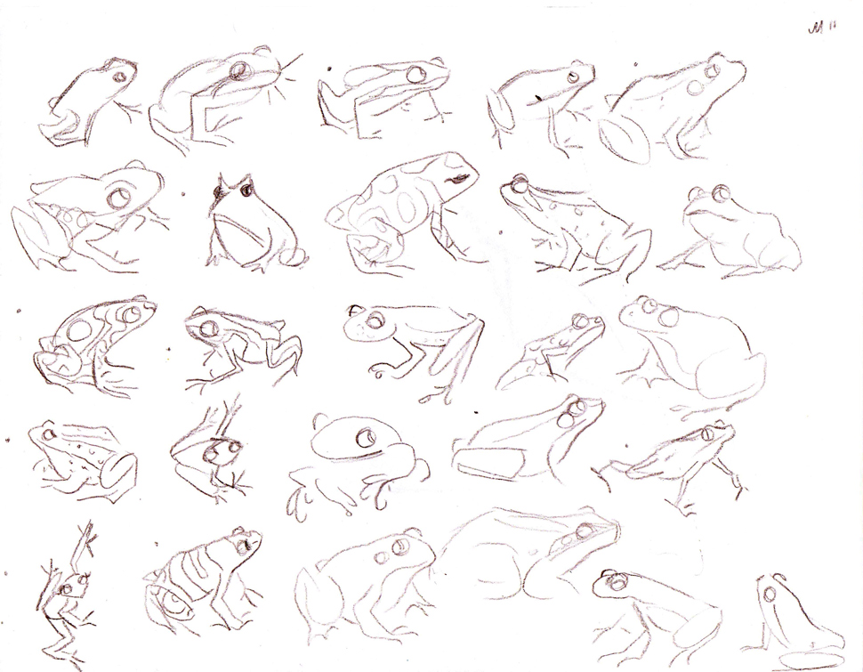 970x755 Frog Sketch Mindi Leatham