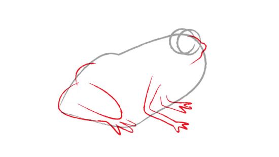 550x309 3 Ways To Draw A Frog Step By Step