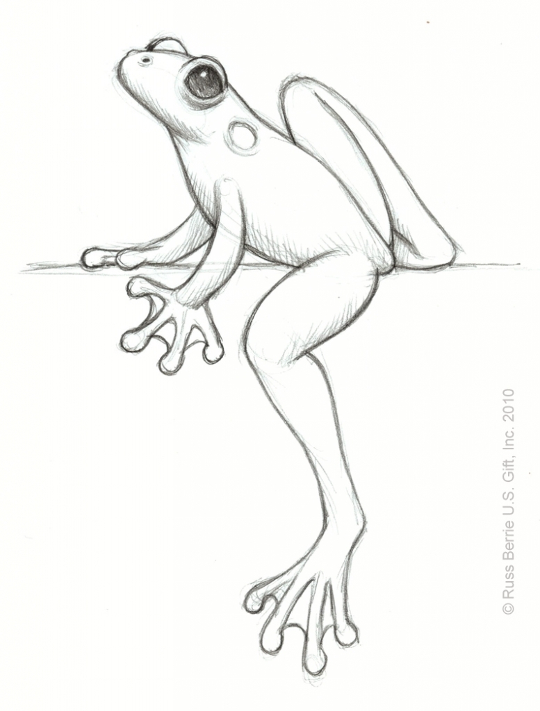 777x1024 Pencil Drawings Of Frogs Product Design Everyday Tabletop Nicholas