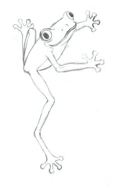 236x378 Drawings Of Frogs Here Is A Frog. Theo, Claudia And Damian Go