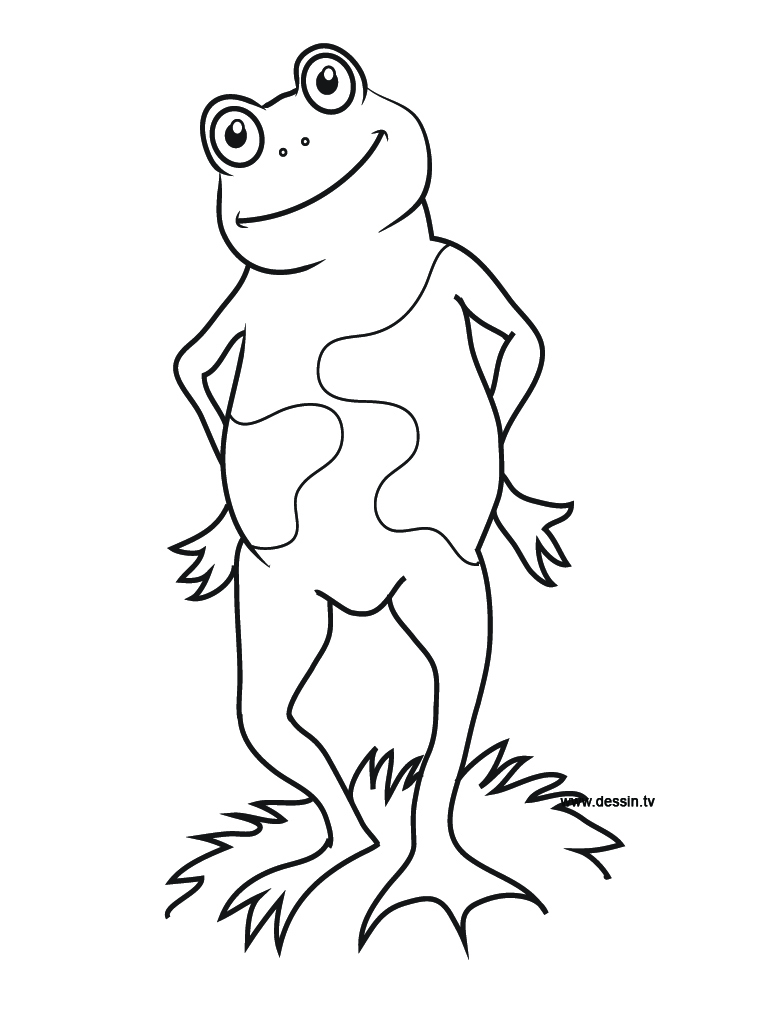 768x1024 Coloring Frog Standing