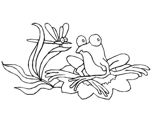 600x485 Drawing Frog On Lily Pad Coloring Page Color Luna