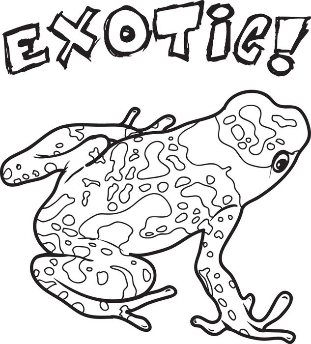 633x700 Free Printable Exotic Frog Coloring Page For Kids On Back