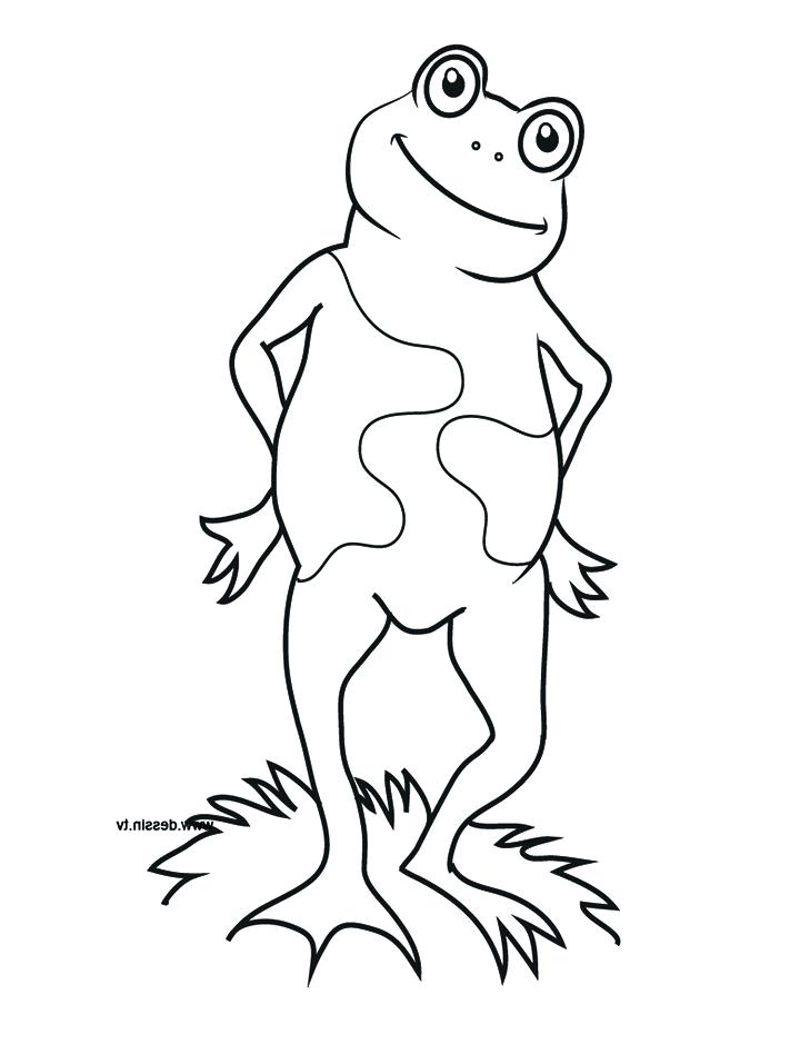 711x948 Cute Frog Coloring Pages Free Frog Coloring Pages Cute Frog