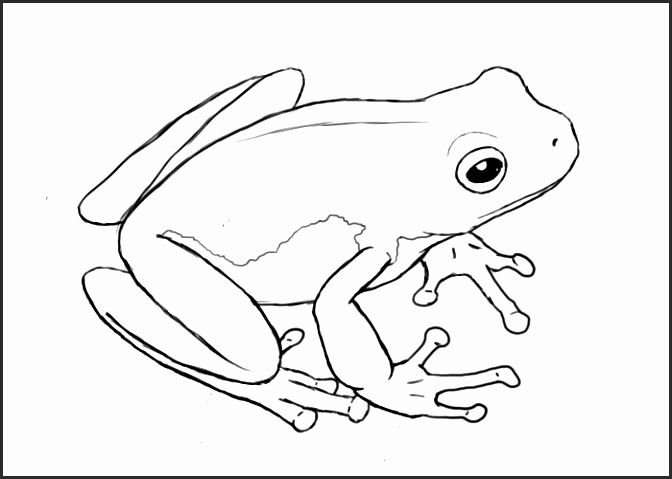 672x479 Easy Frog Drawings Svxvg New Easy Frog Drawing How To Draw Frog