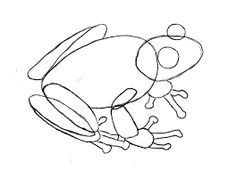 236x170 How To Draw A Frog Frog Drawing, Frogs And Frog Art
