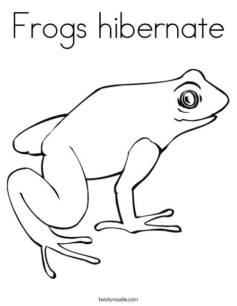 468x605 Frog Color Page Coloring Pages Of Frogs Frogs Coloring Pages