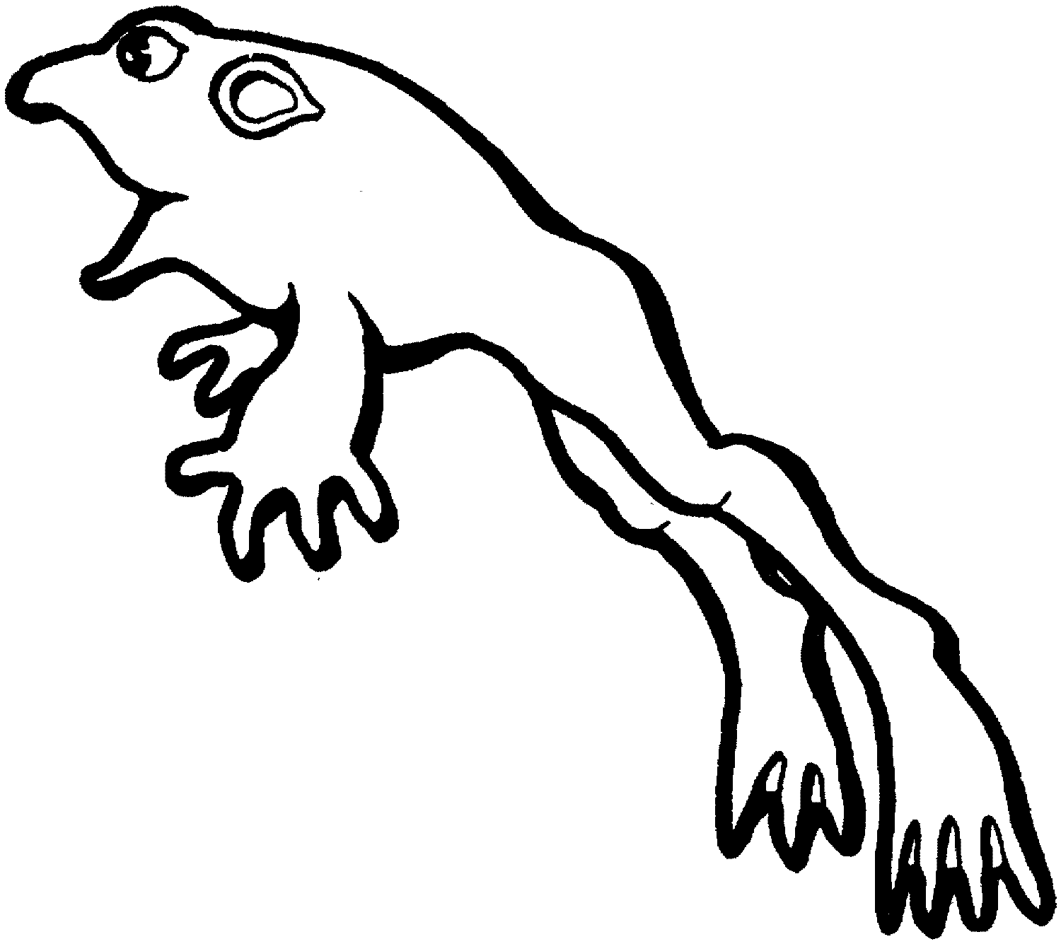 1500x1335 Jumping Frog Coloring Pages Clipart Panda