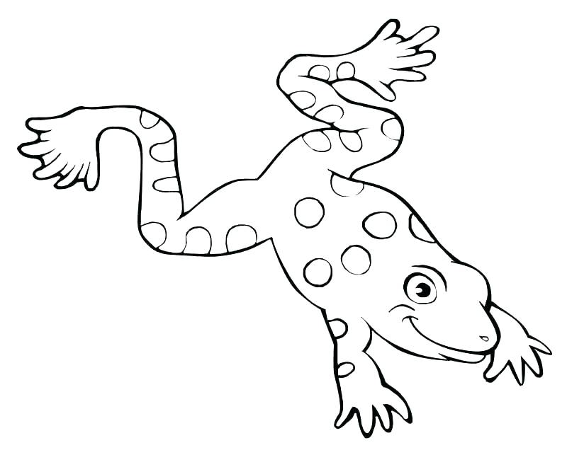 Frog Jumping Drawing At Getdrawings Free Download